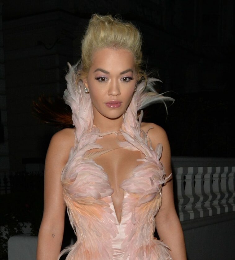 Rita Ora Sexy (68 Photos)