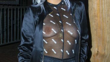 Lily Allen See Through (30 Photos)