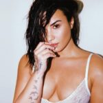 Demi Lovato See Through (1 Photo)