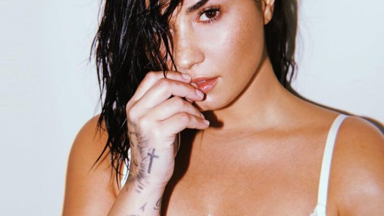 Demi Lovato See Through (1 Photo)