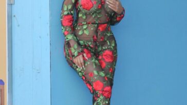 Demi Rose Sexy (6 New Photos)