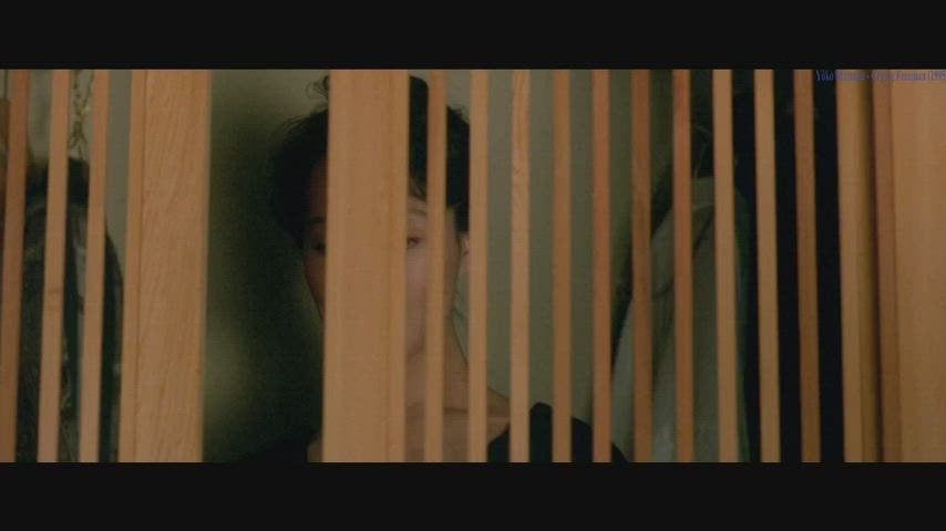 Yoko Shimada Crying Freeman 1995