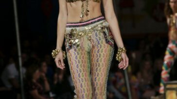 Isabeli Fontana See Through (12 Photos + Video)