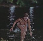 Beverley DAngelo Hair 1979