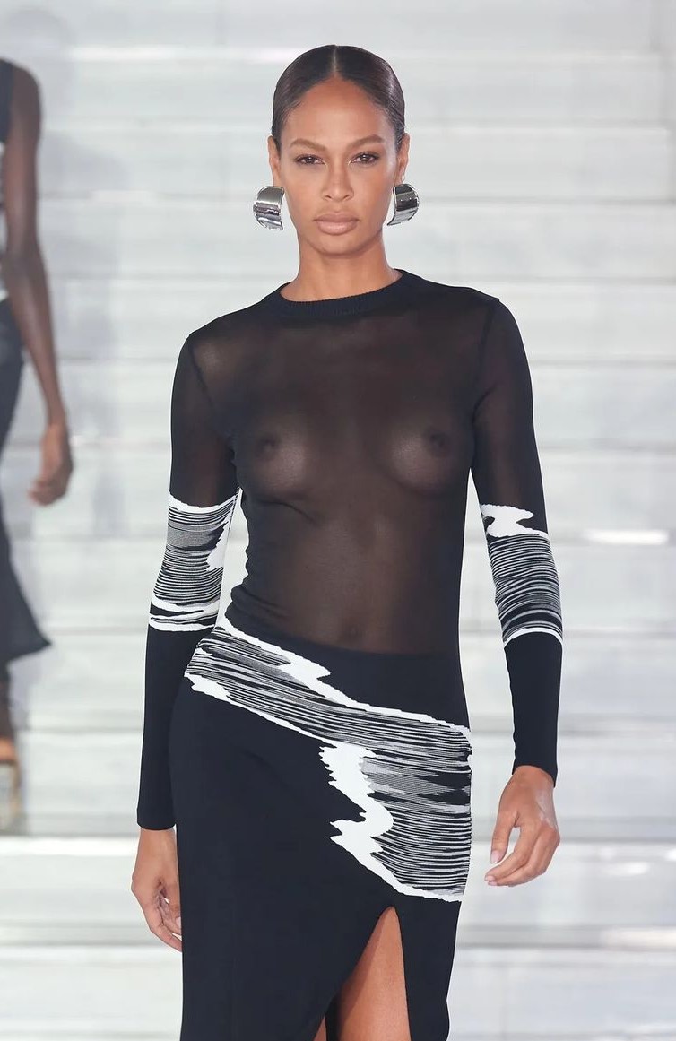 Joan Smalls See Through 1 Photo