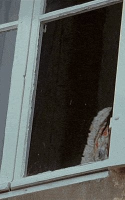 Leelee Sobieski In a Dark Place 2006