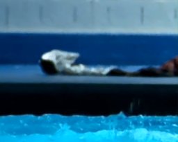 Zooey Deschanel Gigantic 2008