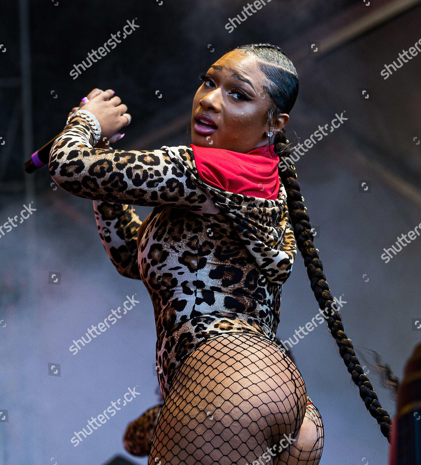 Megan Thee Stallion / megan_renee316 Nude OnlyFans Leaks 4