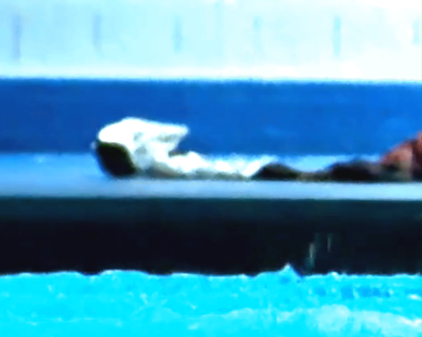 Zooey Deschanel Gigantic 2008.gif