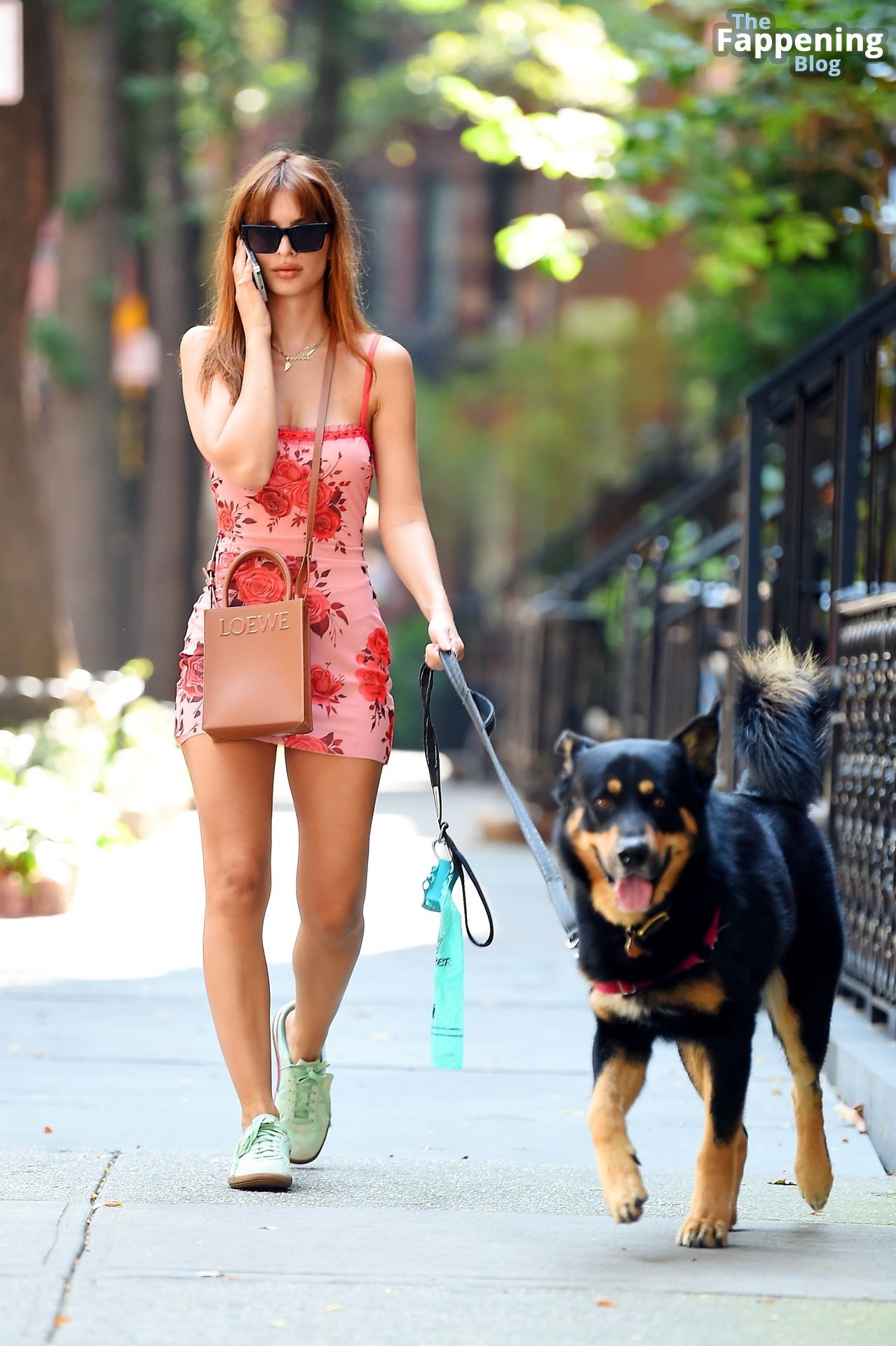 Emily Ratajkowski Displays Her Sexy Legs while Taking Colombo Out.jpg