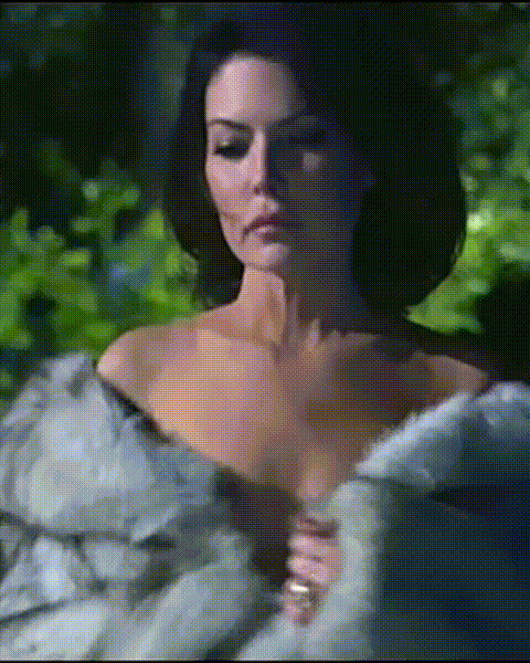 Lara Flynn Boyle Insatiable 2007.gif