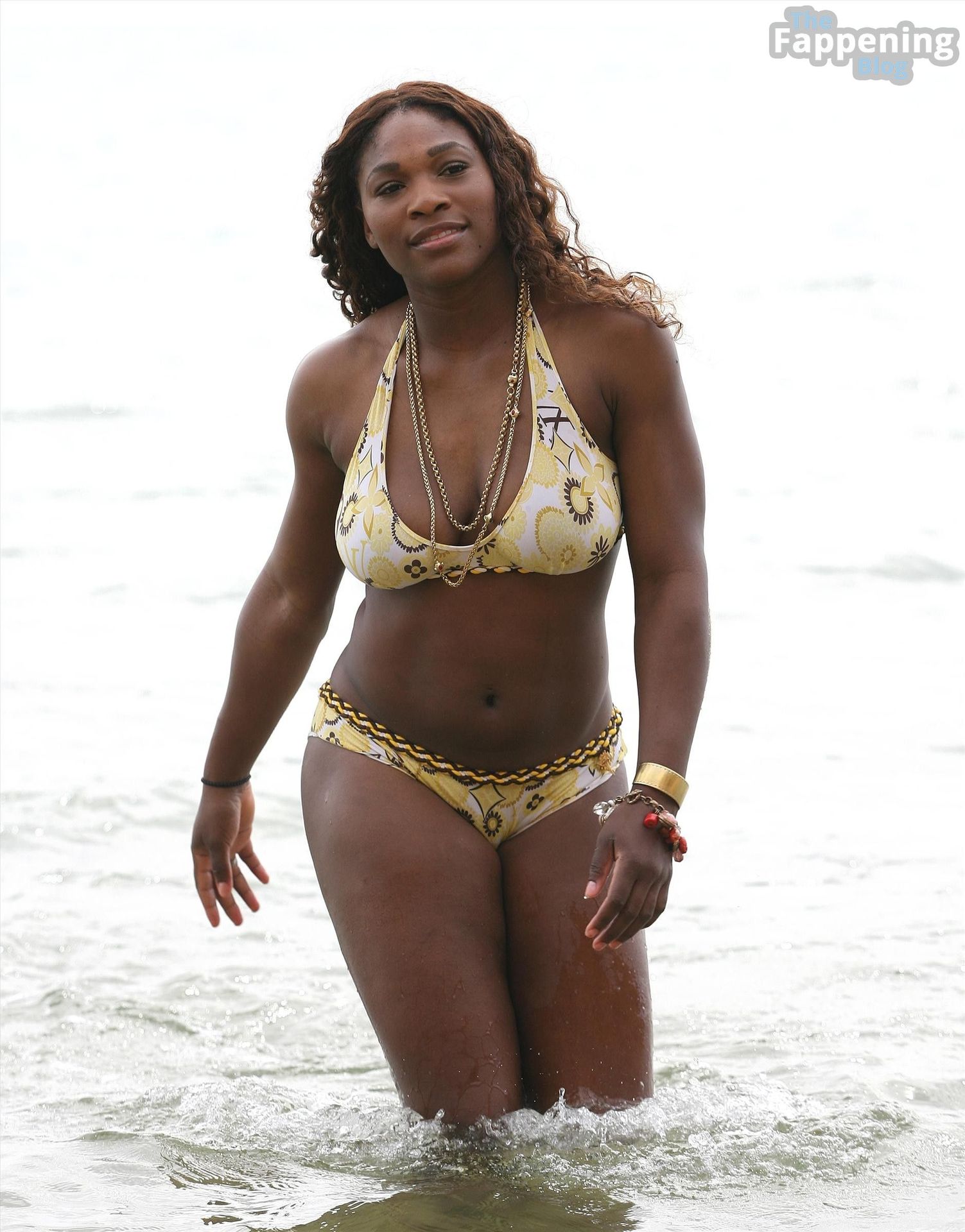 Serena Williams Nude Sexy Colleciton 98 Photos.jpg