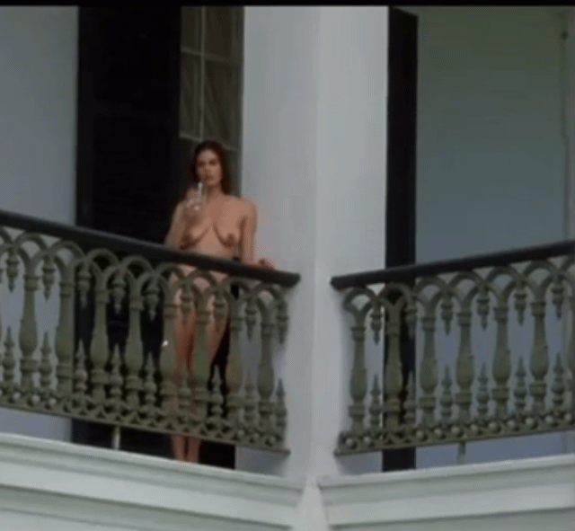 Teri Hatcher Heavens Prisoners 1996.gif