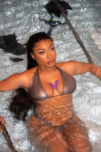 Megan Thee Stallion Nude Leaks OnlyFans Photo 187