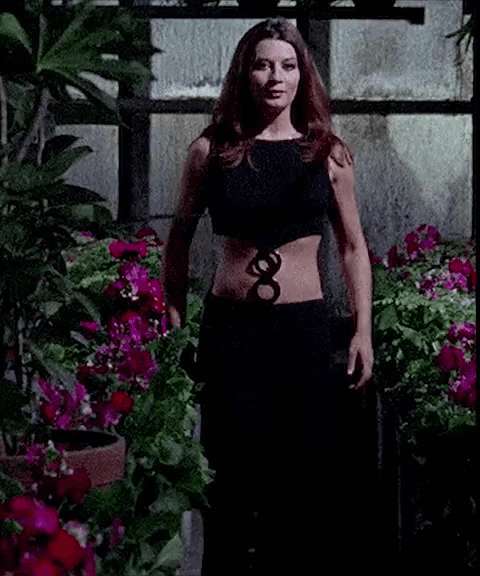 Rosalba Neri Slaughter Hotel 1971.gif