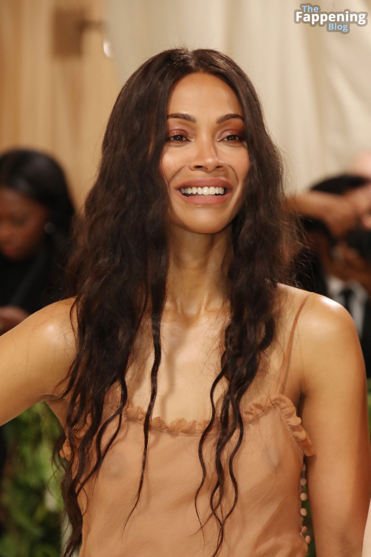 Zoe Saldana Flashes Her Nude Tits at the Met Gala.jpg