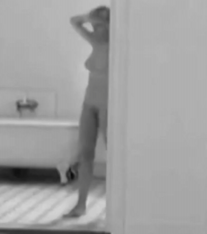 Gunilla Karlzen The Bathroom 1989.gif