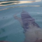 Camilla Luddington in Californication S05 [2012]