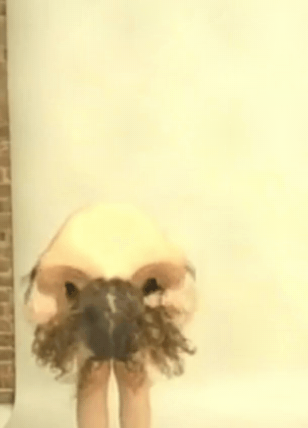 Andrea Ruth Gramaglia 2000.gif