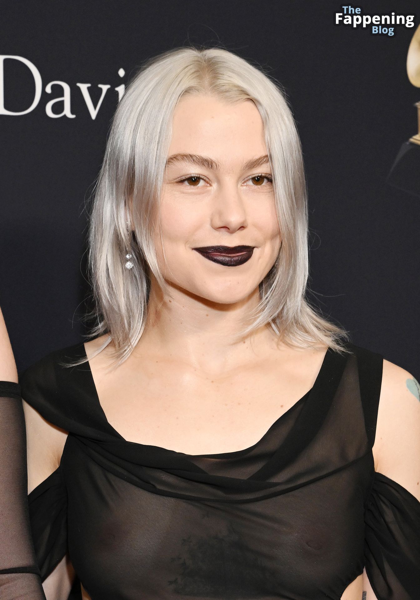 Phoebe Bridgers Flashes Her Nude Tits at the Pre GRAMMY Gala.jpg