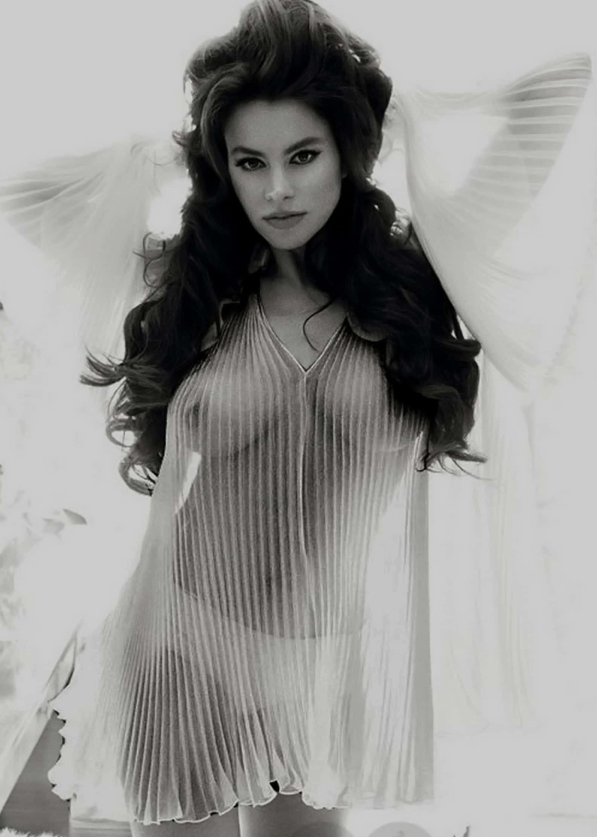 Sofia Vergara.png