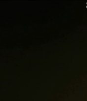 Michelle Williams in Take This Waltz 2011.jpg