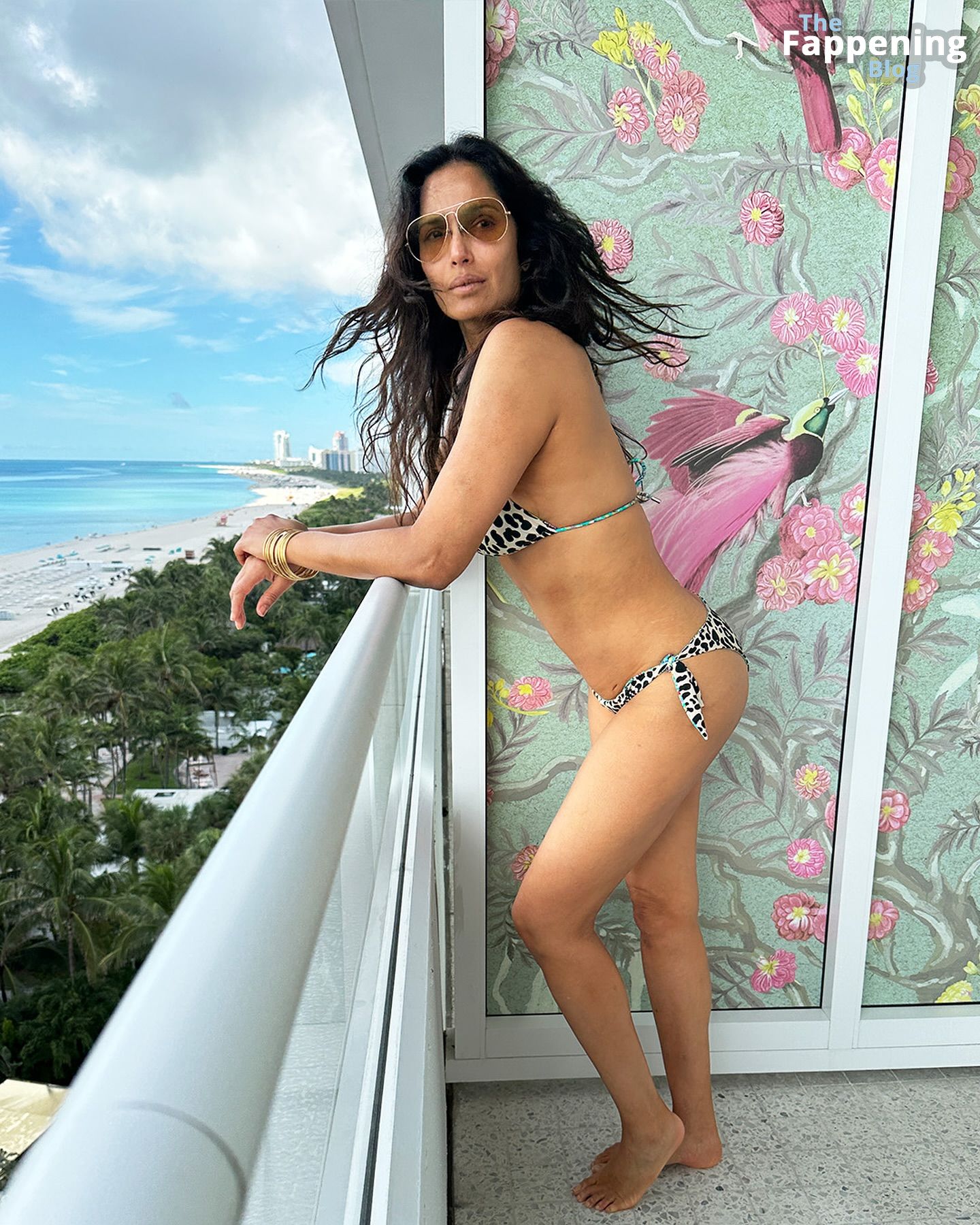 Padma Lakshmi Sexy 8 Photos Video.jpg