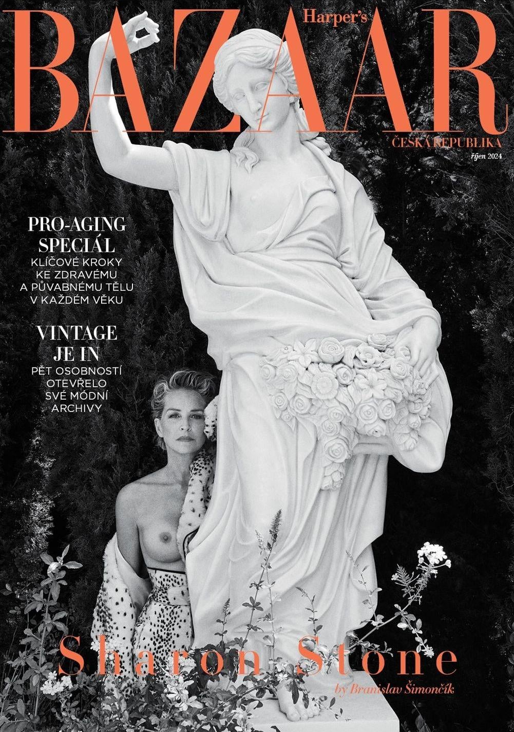 Sharon Stone Harpers Bazaar Czech Republic October 2024.jpeg