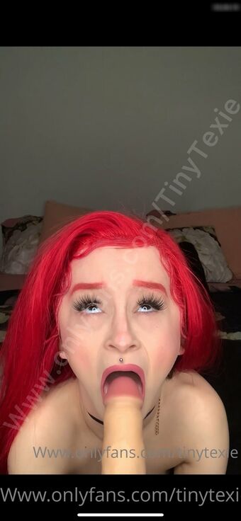 Tiny Texie Nude Leaks OnlyFans Photo 17