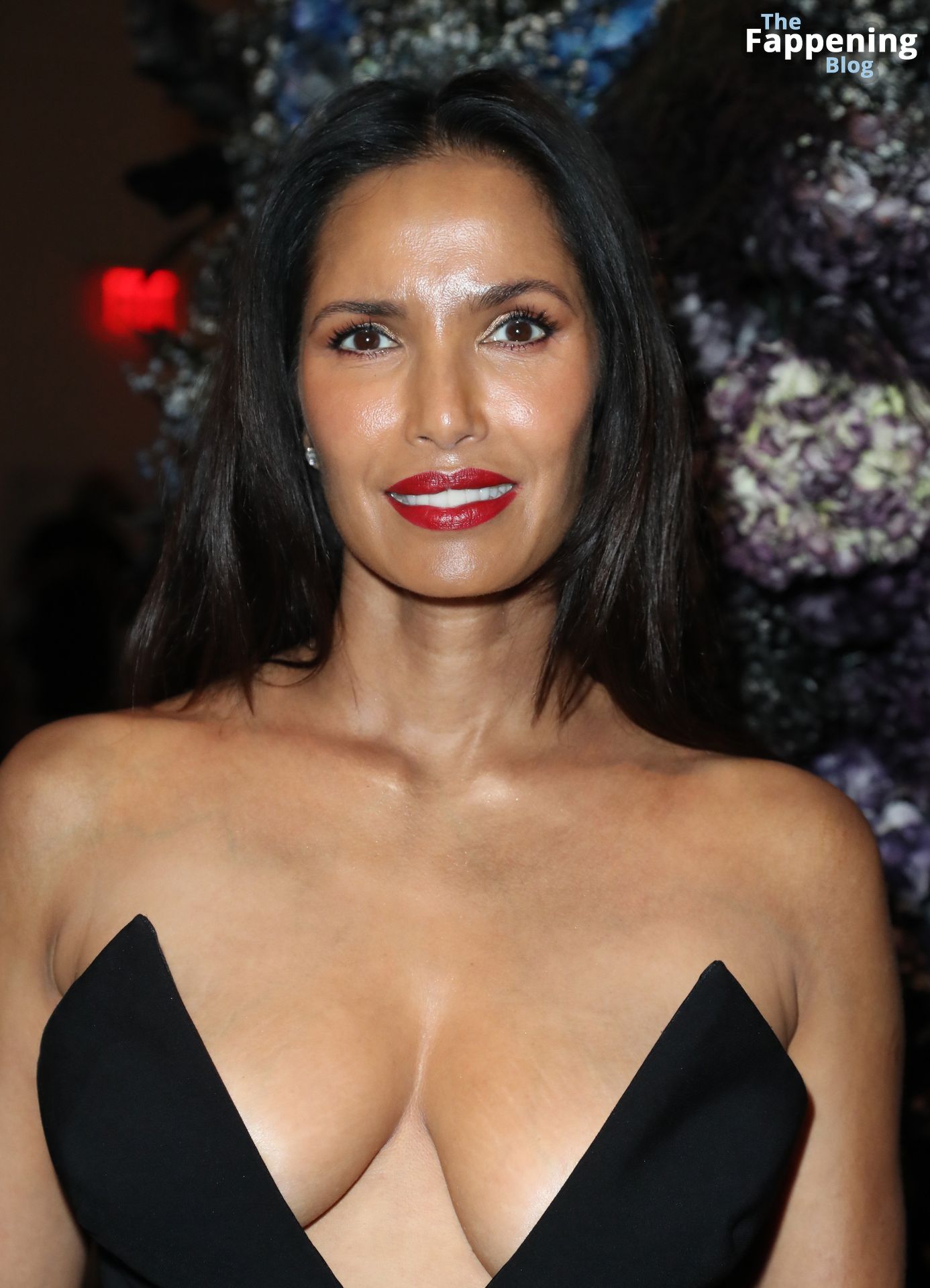 Padma Lakshmi Displays Her Sexy Breasts at the Christian Siriano.jpg