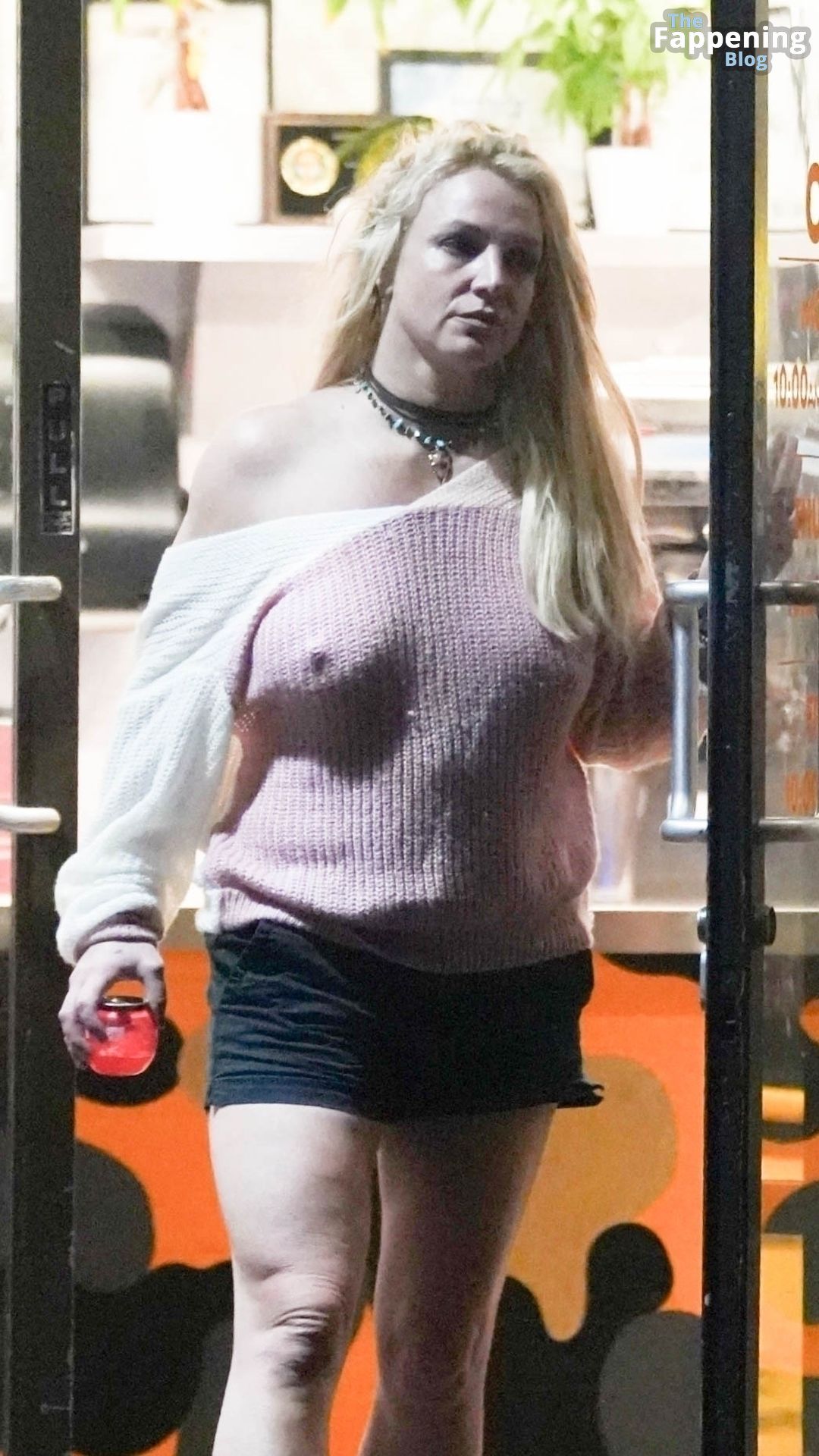 Britney Spears is Pictured For the First Time Since Divorce.jpeg