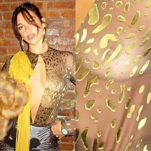 Dua Lipa Exposes Her Nude Tit