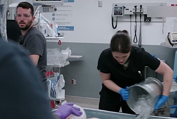 Fernanda Moya Nude Scenes in The Pitt