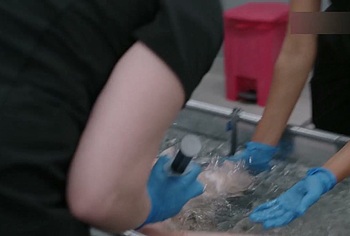 Fernanda Moya Nude Scenes in The Pitt