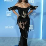 Chloe Bailey Shows Off Her Sexy Figure in a See-Through Dress at the 57th NAACP Image Awards (49 Photos)