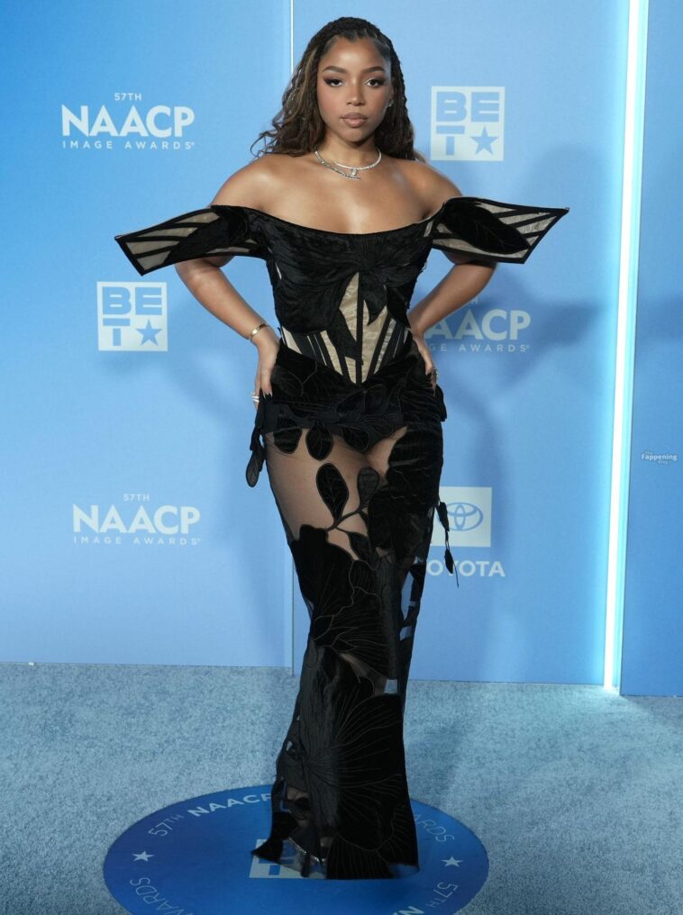 Chloe Bailey Shows Off Her Sexy Figure in a See-Through Dress at the 57th NAACP Image Awards (49 Photos)