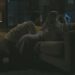 Sydney Sweeney Hand job Scene in The Voyeurs
