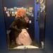 Jenna Instagram Sexy Influencer – Lynn Onlyfans Leaked Nudes.jpg